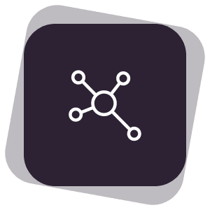 Nexset